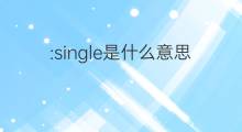 :single是什么意思 :single的中文翻译、读音、例句