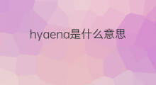 hyaena是什么意思 hyaena的中文翻译、读音、例句