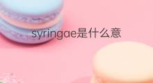 syringae是什么意思 syringae的中文翻译、读音、例句