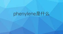 phenylene是什么意思 phenylene的中文翻译、读音、例句