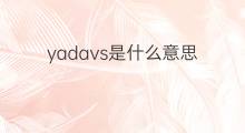 yadavs是什么意思 yadavs的中文翻译、读音、例句