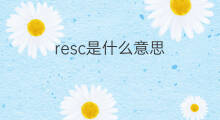 resc是什么意思 resc的中文翻译、读音、例句