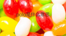 pola是什么意思 pola的中文翻译、读音、例句