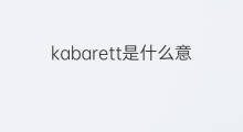 kabarett是什么意思 kabarett的中文翻译、读音、例句