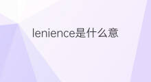 lenience是什么意思 lenience的中文翻译、读音、例句