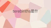 terebinths是什么意思 terebinths的中文翻译、读音、例句