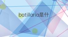 batillaria是什么意思 batillaria的中文翻译、读音、例句