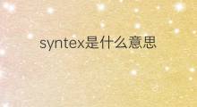 syntex是什么意思 syntex的中文翻译、读音、例句