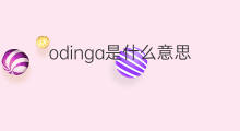 odinga是什么意思 odinga的中文翻译、读音、例句