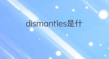 dismantles是什么意思 dismantles的中文翻译、读音、例句