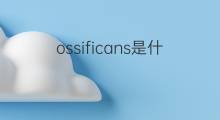 ossificans是什么意思 ossificans的中文翻译、读音、例句