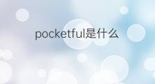 pocketful是什么意思 pocketful的中文翻译、读音、例句