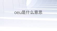 oeu是什么意思 oeu的中文翻译、读音、例句