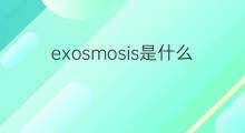 exosmosis是什么意思 exosmosis的中文翻译、读音、例句