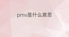 pmv是什么意思 pmv的中文翻译、读音、例句