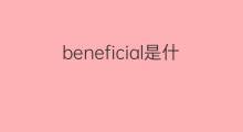 beneficial是什么意思 beneficial的中文翻译、读音、例句