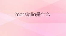 morsiglia是什么意思 morsiglia的中文翻译、读音、例句