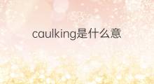 caulking是什么意思 caulking的中文翻译、读音、例句