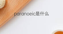 paranoeic是什么意思 paranoeic的中文翻译、读音、例句