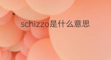 schizzo是什么意思 schizzo的中文翻译、读音、例句