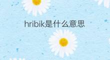 hribik是什么意思 hribik的中文翻译、读音、例句