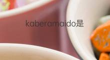 kaberamaido是什么意思 kaberamaido的中文翻译、读音、例句