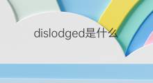 dislodged是什么意思 dislodged的中文翻译、读音、例句