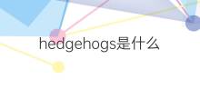 hedgehogs是什么意思 hedgehogs的中文翻译、读音、例句