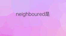 neighboured是什么意思 neighboured的中文翻译、读音、例句