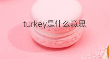 turkey是什么意思 turkey的中文翻译、读音、例句