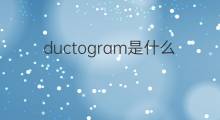ductogram是什么意思 ductogram的中文翻译、读音、例句
