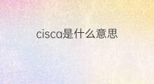 cisca是什么意思 cisca的中文翻译、读音、例句