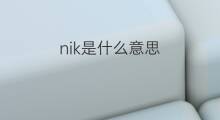 nik是什么意思 nik的中文翻译、读音、例句