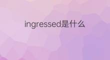 ingressed是什么意思 ingressed的中文翻译、读音、例句