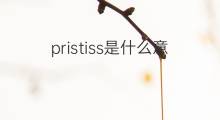pristiss是什么意思 pristiss的中文翻译、读音、例句