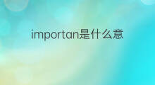 importan是什么意思 importan的中文翻译、读音、例句