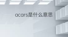 acars是什么意思 acars的中文翻译、读音、例句