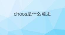 choos是什么意思 choos的中文翻译、读音、例句