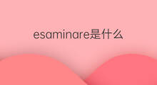 esaminare是什么意思 esaminare的中文翻译、读音、例句