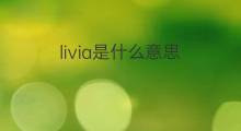 livia是什么意思 livia的中文翻译、读音、例句