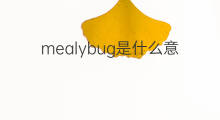 mealybug是什么意思 mealybug的中文翻译、读音、例句