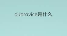 dubravice是什么意思 dubravice的中文翻译、读音、例句