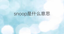 snoop是什么意思 snoop的中文翻译、读音、例句