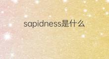 sapidness是什么意思 sapidness的中文翻译、读音、例句