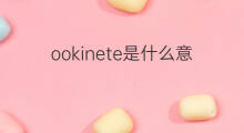 ookinete是什么意思 ookinete的中文翻译、读音、例句