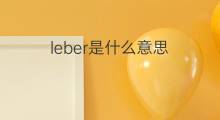 leber是什么意思 leber的中文翻译、读音、例句
