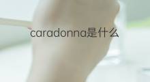 caradonna是什么意思 caradonna的中文翻译、读音、例句