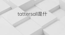 tattersall是什么意思 tattersall的中文翻译、读音、例句
