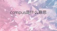 campus是什么意思 campus的中文翻译、读音、例句