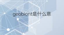 geobiont是什么意思 geobiont的中文翻译、读音、例句